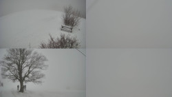 Sdružený snímek Bludný