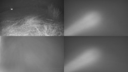 Sdružený snímek Bludný