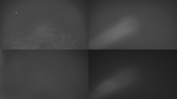 Sdružený snímek Bludný