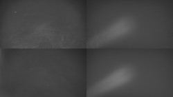 Sdružený snímek Bludný