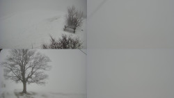 Sdružený snímek Bludný