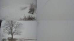 Sdružený snímek Bludný