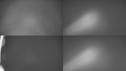 Sdružený snímek Bludný