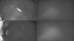 Sdružený snímek Bludný