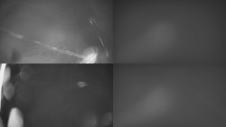 Sdružený snímek Bludný