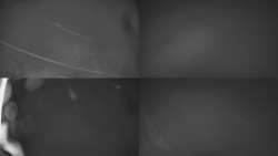 Sdružený snímek Bludný