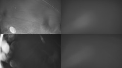 Sdružený snímek Bludný