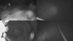 Sdružený snímek Bludný