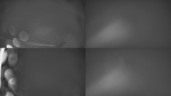 Sdružený snímek Bludný