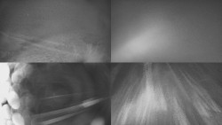 Sdružený snímek Bludný