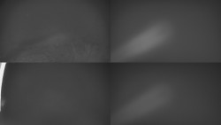 Sdružený snímek Bludný