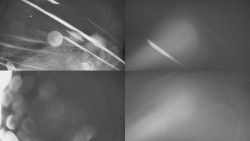 Sdružený snímek Bludný