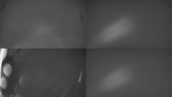 Sdružený snímek Bludný