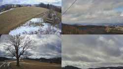 Sdružený snímek Bludný