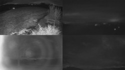 Sdružený snímek Bludný