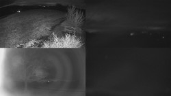 Sdružený snímek Bludný