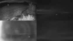 Sdružený snímek Bludný