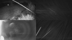 Sdružený snímek Bludný