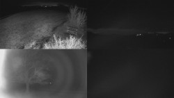 Sdružený snímek Bludný