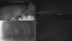 Sdružený snímek Bludný