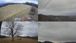 Sdružený snímek Bludný