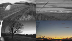 Sdružený snímek Bludný