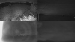 Sdružený snímek Bludný