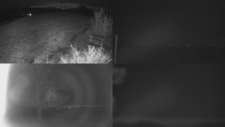 Sdružený snímek Bludný