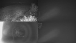 Sdružený snímek Bludný