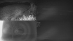 Sdružený snímek Bludný