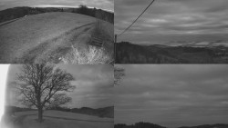 Sdružený snímek Bludný