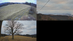 Sdružený snímek Bludný