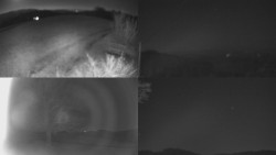 Sdružený snímek Bludný