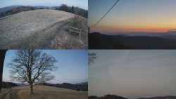 Sdružený snímek Bludný