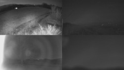 Sdružený snímek Bludný