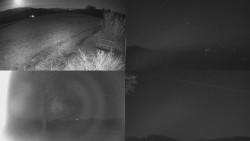 Sdružený snímek Bludný