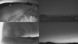 Sdružený snímek Bludný