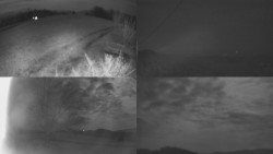 Sdružený snímek Bludný