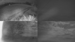 Sdružený snímek Bludný