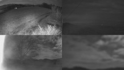 Sdružený snímek Bludný