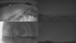 Sdružený snímek Bludný