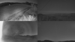 Sdružený snímek Bludný