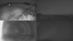 Sdružený snímek Bludný