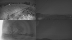 Sdružený snímek Bludný