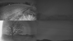 Sdružený snímek Bludný