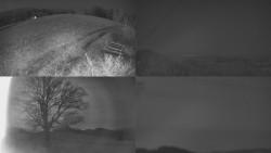 Sdružený snímek Bludný