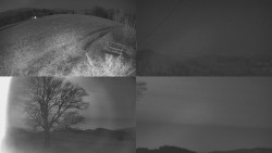 Sdružený snímek Bludný