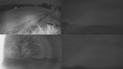 Sdružený snímek Bludný