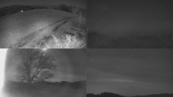 Sdružený snímek Bludný