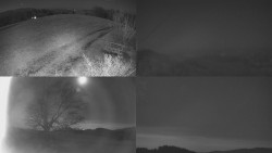 Sdružený snímek Bludný